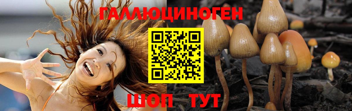 Галлюциногенные грибы прущие грибы  Вход с VPN  Минусинск  цены   Галлюциногенные грибы Psilocybine cubensis 